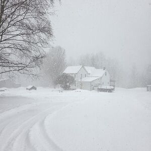 Snowed In Show - Random Pulls